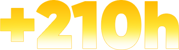 +210h